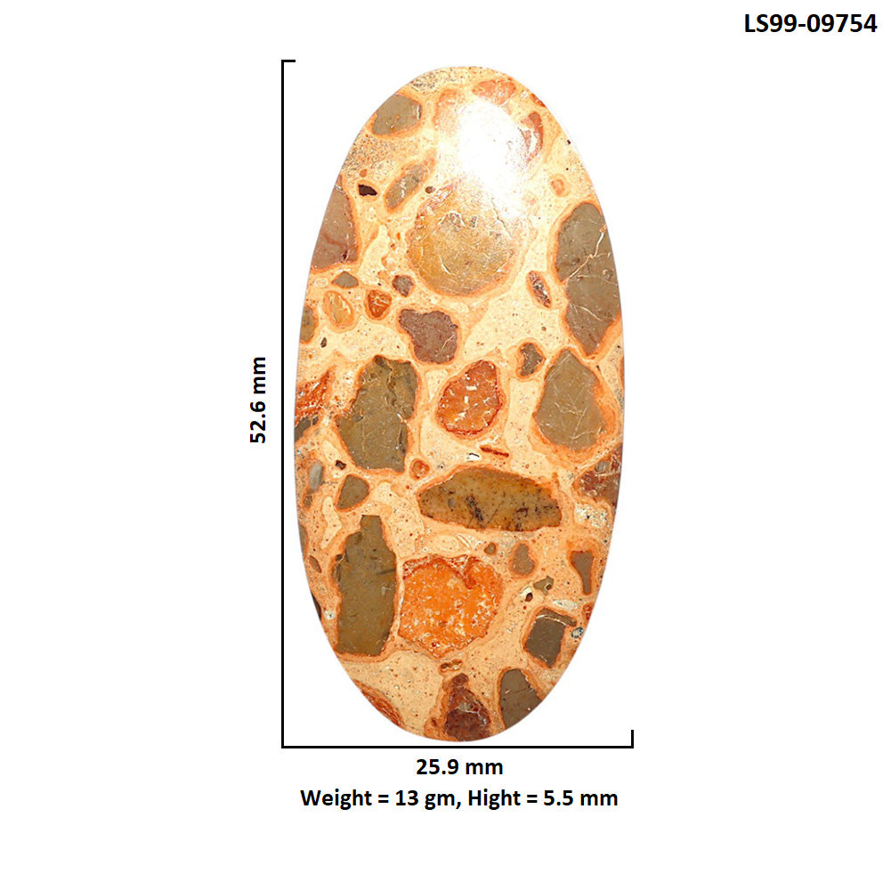 Natural Leopardite Jasper 25.9x52.6x5.5 mm Oval Shape Polished Gemstone LS99-09754