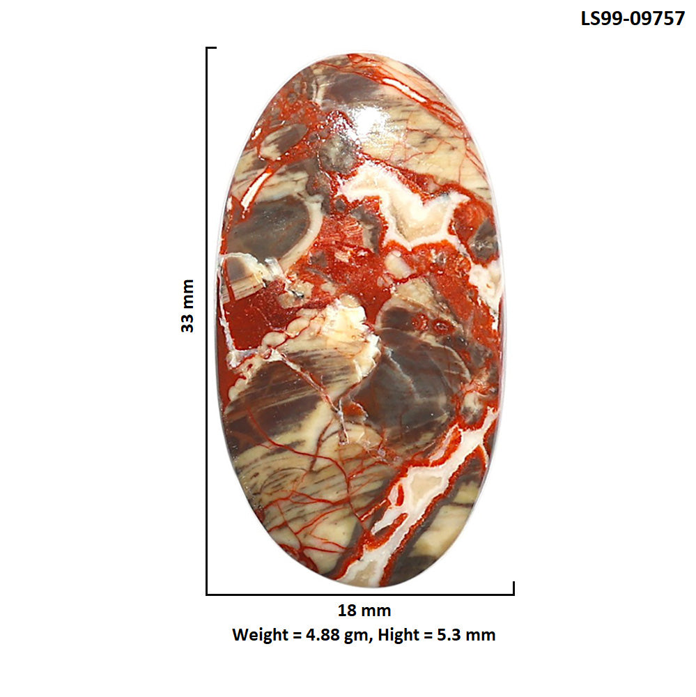 Natural Money Agate 18x33x5.3 mm Oval Shape Polished Gemstone LS99-09757