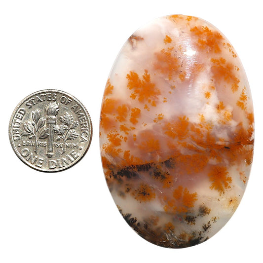 Natural Robinson Ranch Plume Agate 32.6x49.15x6.3 mm Oval Shape Polished Gemstone LS99-09783