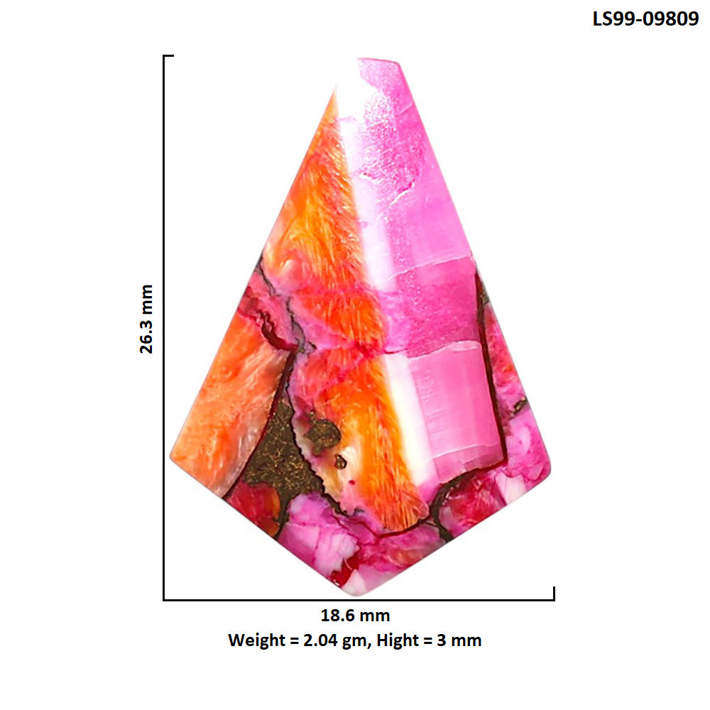 Natural Kingman Orange Dahlia Turquoise 18.6x26.3x3 mm Fancy Shape Polished Gemstone LS99-09809
