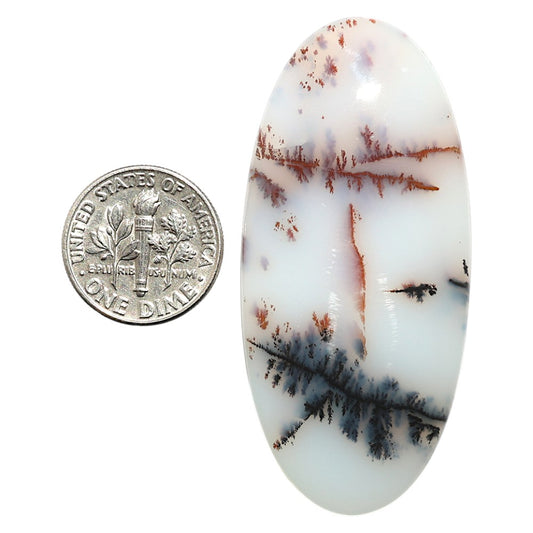 Natural Robinson Ranch Plume Agate 25.25x54.45x5 mm Oval Shape Polished Gemstone LS99-09820