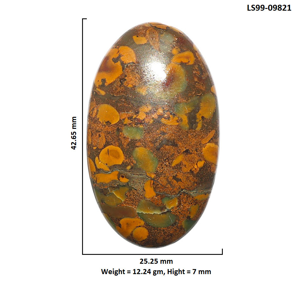 Natural Bamboo Jasper 25.25x42.65x7 mm Oval Shape Polished Gemstone LS99-09821