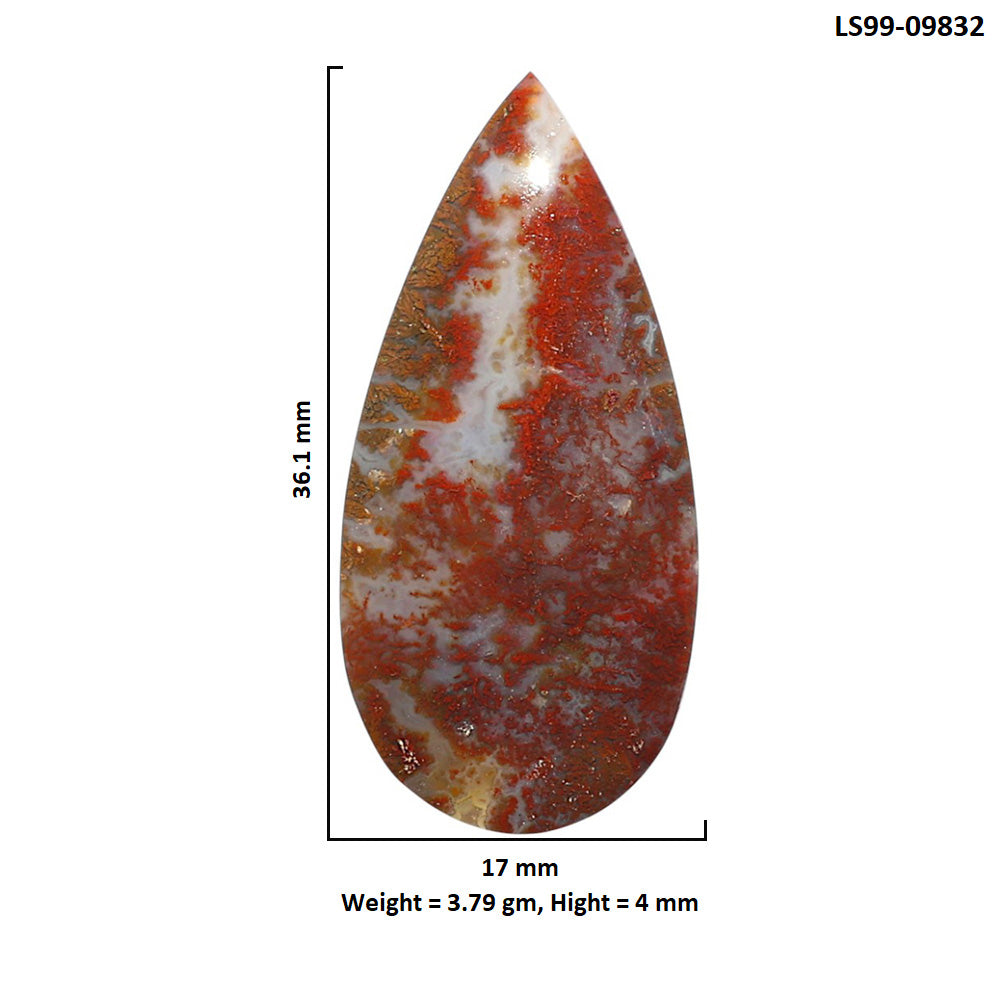 Natural Red Moss Agate 17x36.1x4 mm Pear Shape Polished Gemstone LS99-09832