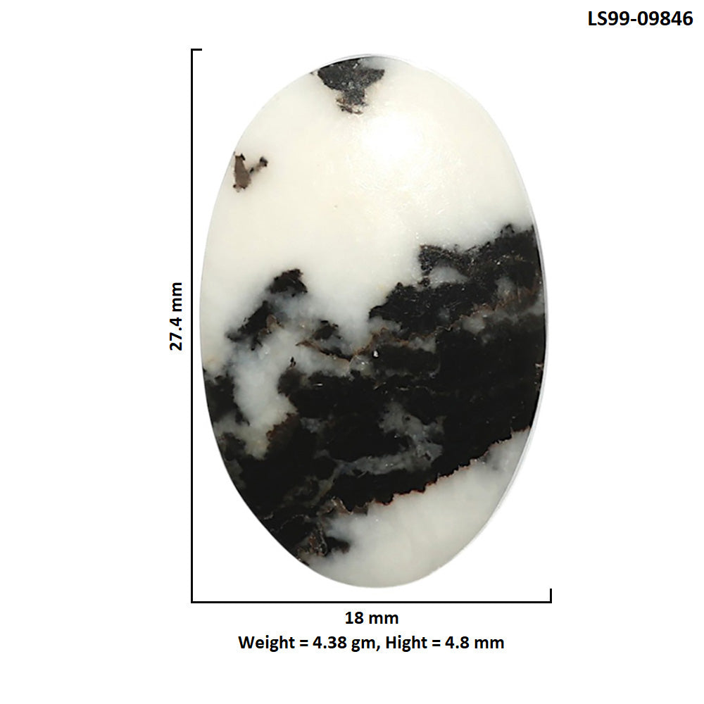 Natural Black Zebra Jasper 18x27.4x4.8 mm Oval Shape Polished Gemstone LS99-09846