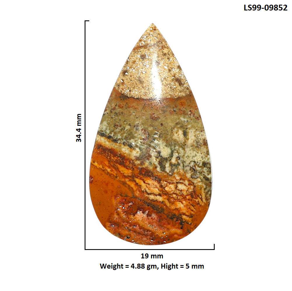 Natural Rocky Butte Picture Jasper 19x34.4x5 mm Pear Shape Polished Gemstone LS99-09852