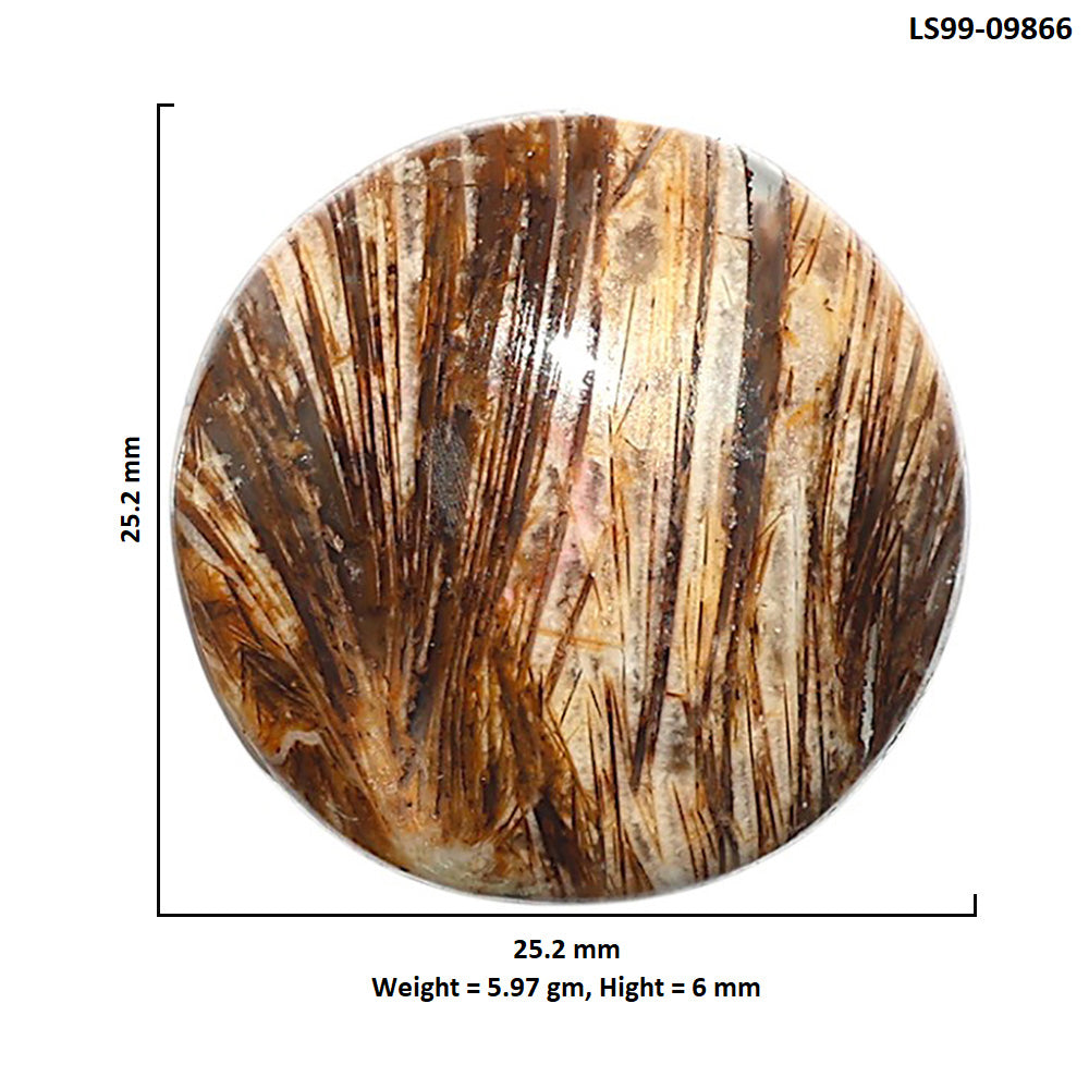 Natural Tube Agate 25.2x25.2x6 mm Round Shape Polished Gemstone LS99-09866