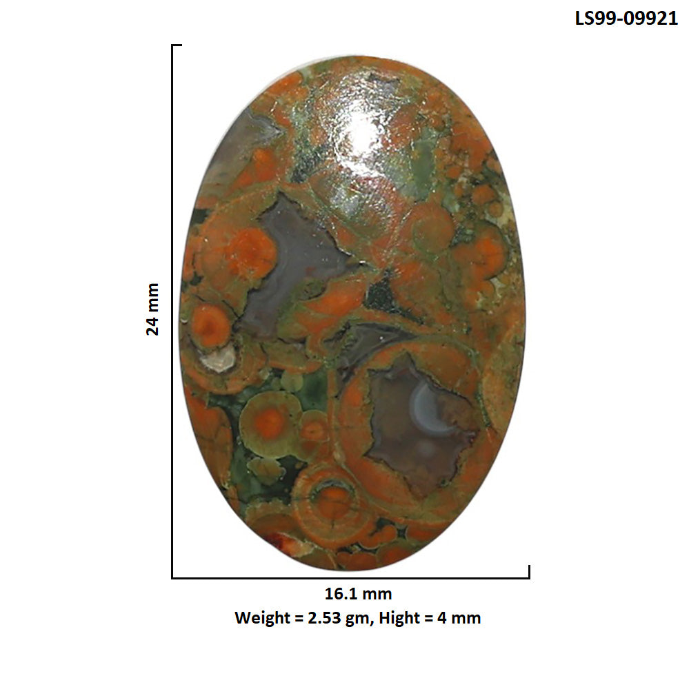 Natural Rhyolite - Rainforest Jasper 16.1x24x4 mm Oval Shape Polished Gemstone LS99-09921