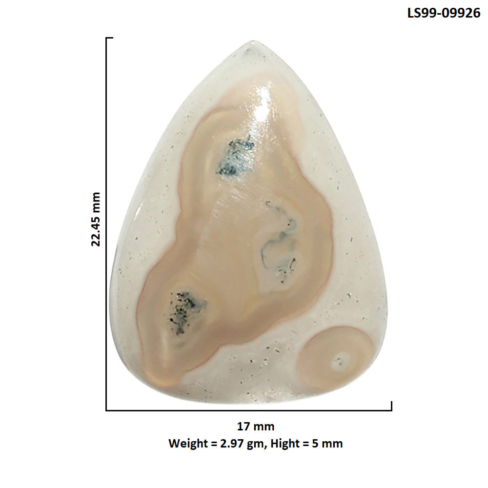 Natural Horse Canyon Moss Agate 17x22.45x5 mm Fancy Shape Polished Gemstone LS99-09926