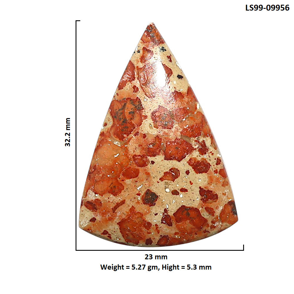 Natural Asteroid Jasper 23x32.2x5.3 mm Fancy Shape Polished Gemstone LS99-09956