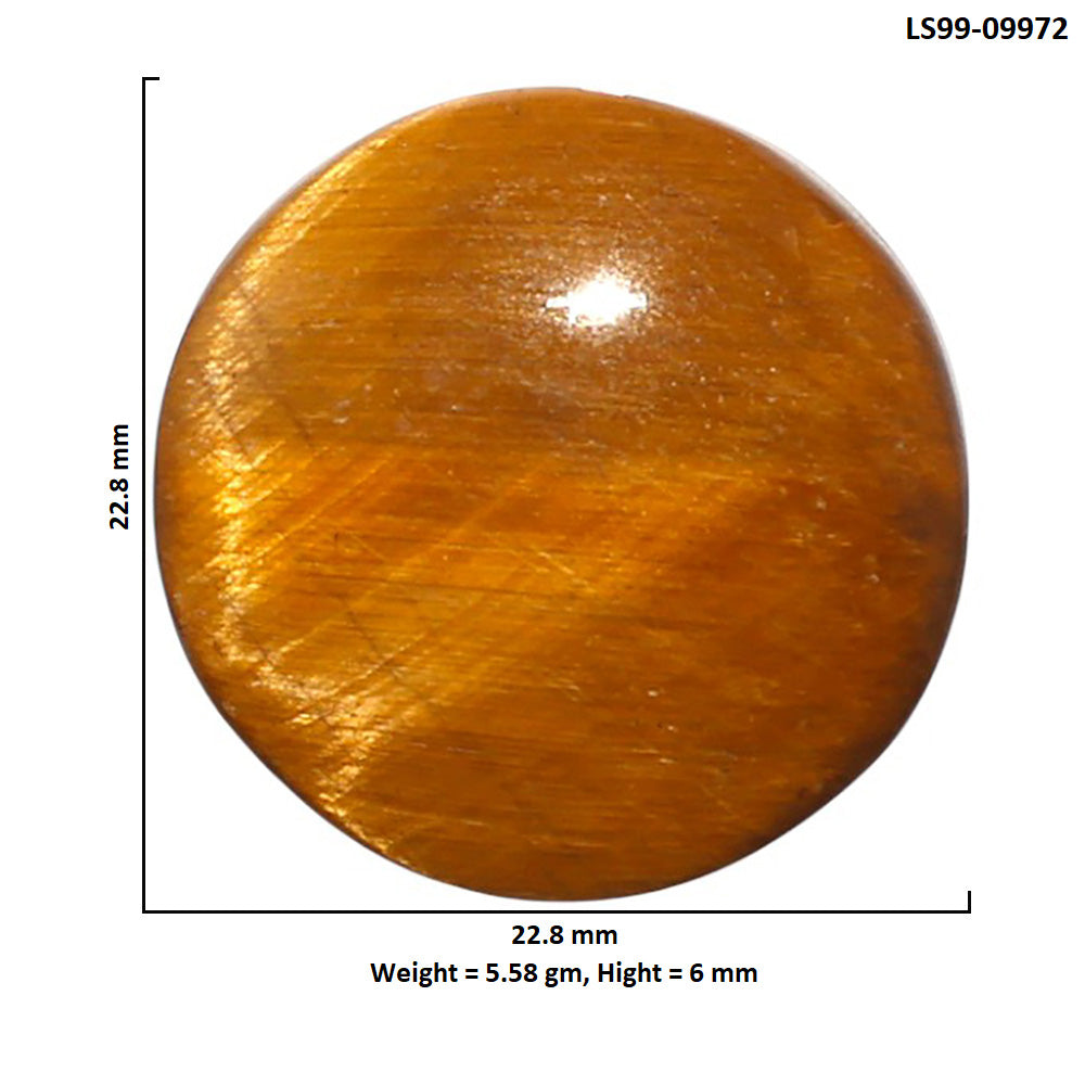 Natural Tiger Eye 22.8x22.8x6 mm Round Shape Polished Gemstone LS99-09972