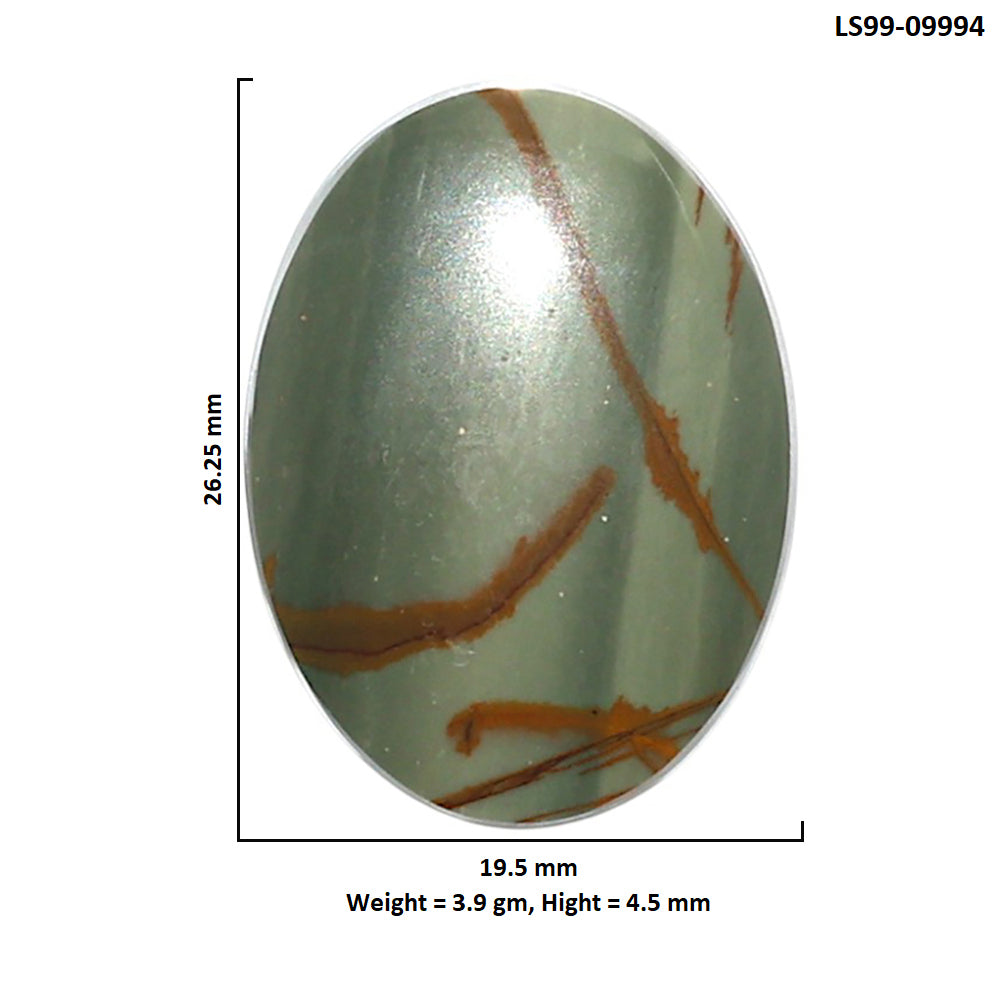 Natural Polygram Jasper 19.5x26.25x4.5 mm Oval Shape Polished Gemstone LS99-09994