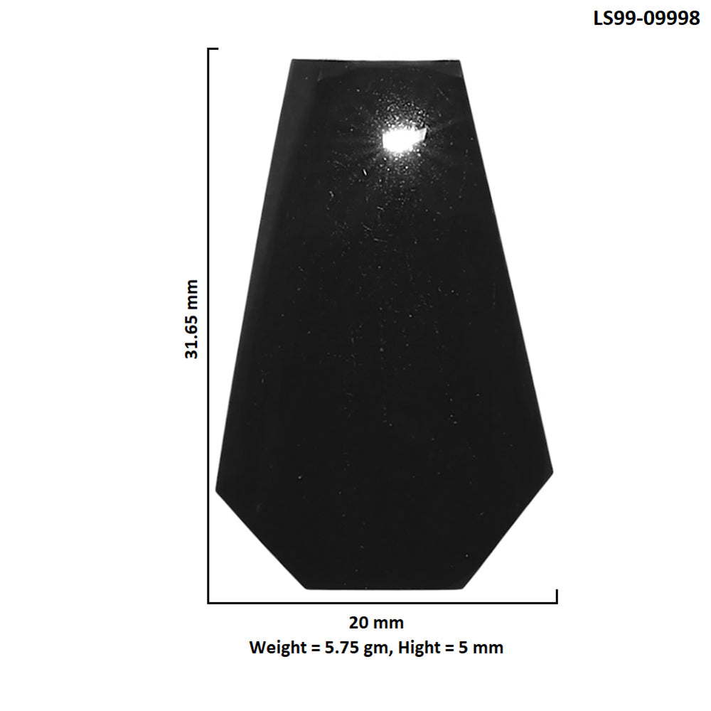 Natural Black Onyx 20x31.65x5 mm Fancy Shape Polished Gemstone LS99-09998