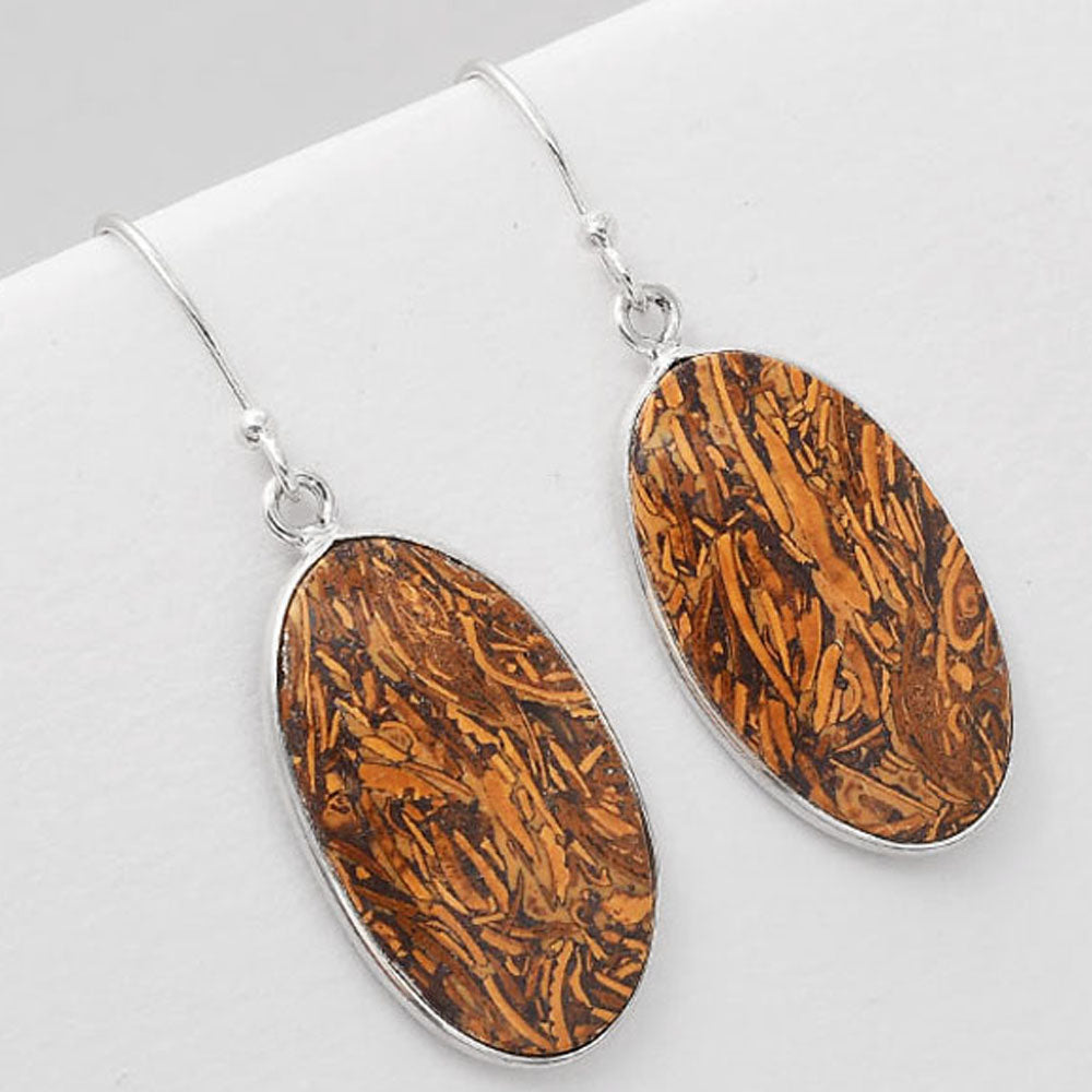 Natural Coquina Fossil Jasper India Earrings E-1001 SDE50813