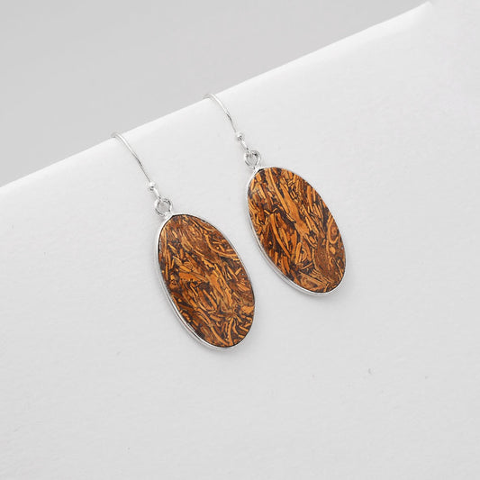 Natural Coquina Fossil Jasper India Earrings E-1001 SDE50813