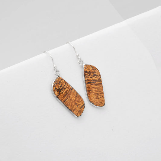 Natural Coquina Fossil Jasper India Earrings E-1001 SDE50817