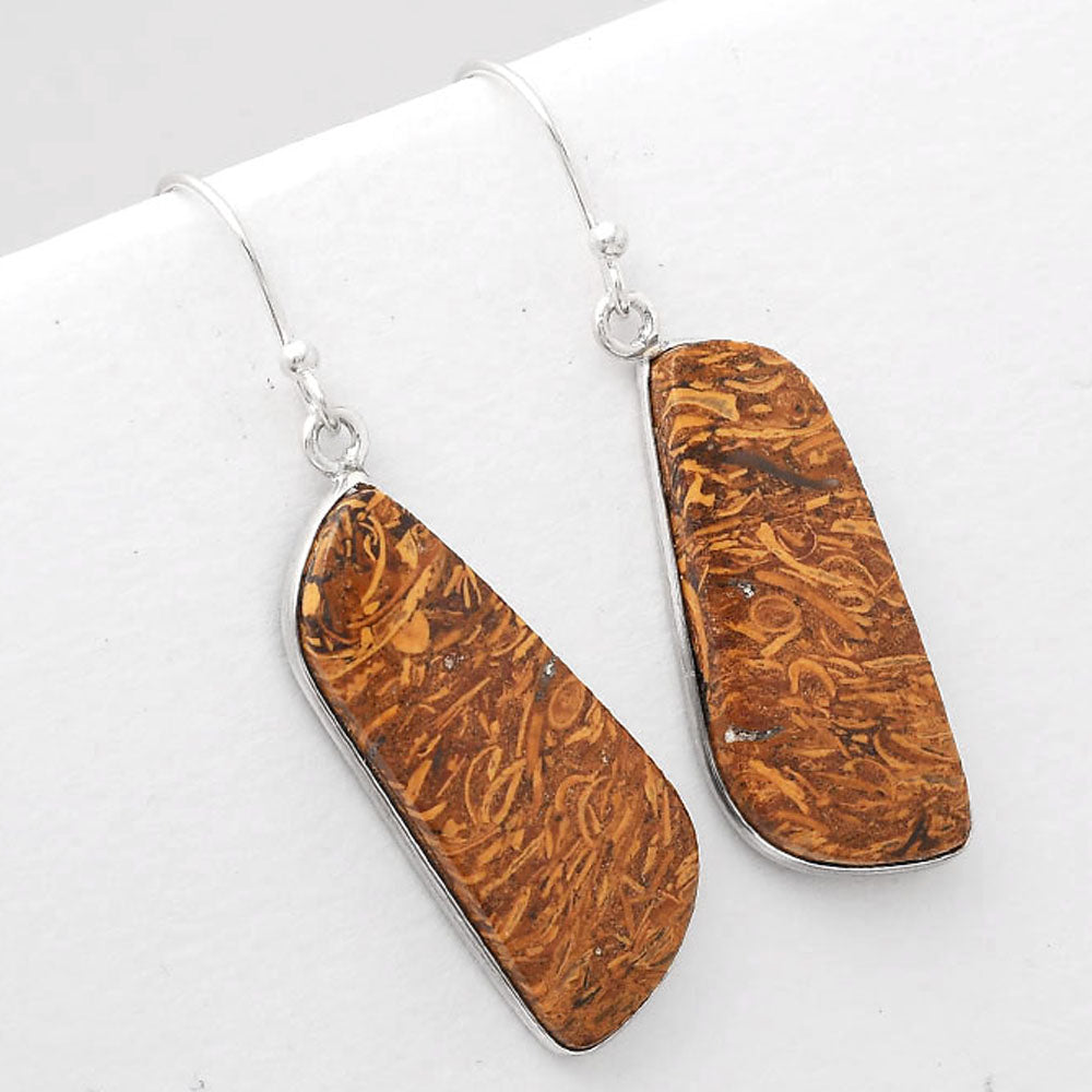 Natural Coquina Fossil Jasper India Earrings E-1001 SDE50886