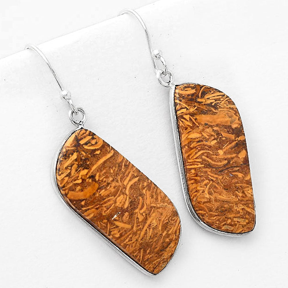 Natural Coquina Fossil Jasper India Earrings E-1001 SDE50894