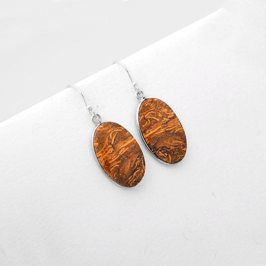 Natural Coquina Fossil Jasper India Earrings E-1001 SDE51004