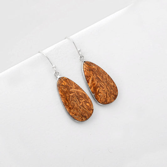 Natural Coquina Fossil Jasper India Earrings E-1001 SDE51073