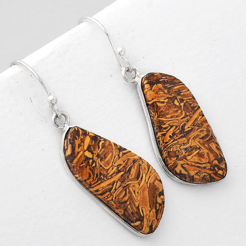 Natural Coquina Fossil Jasper India Earrings E-1001 SDE51097