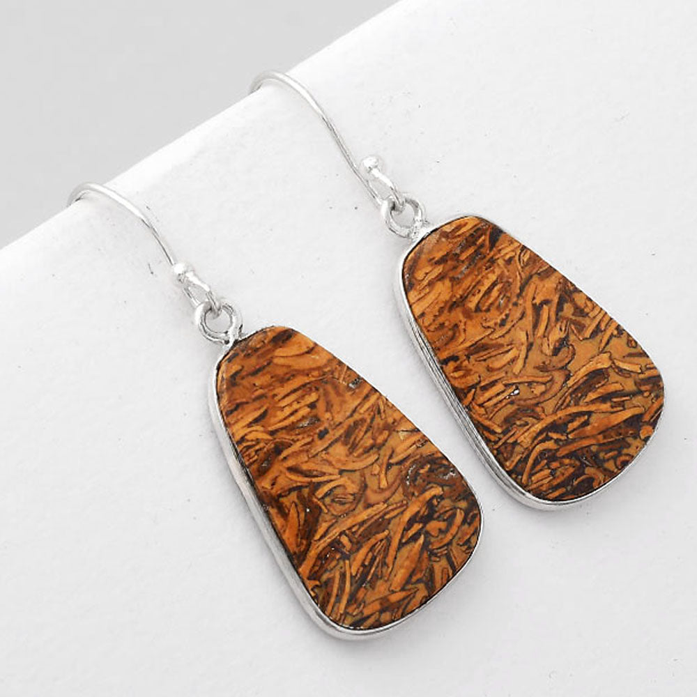 Natural Coquina Fossil Jasper India Earrings E-1001 SDE51118