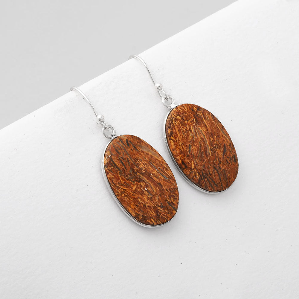 Natural Coquina Fossil Jasper India Earrings E-1001 SDE51128