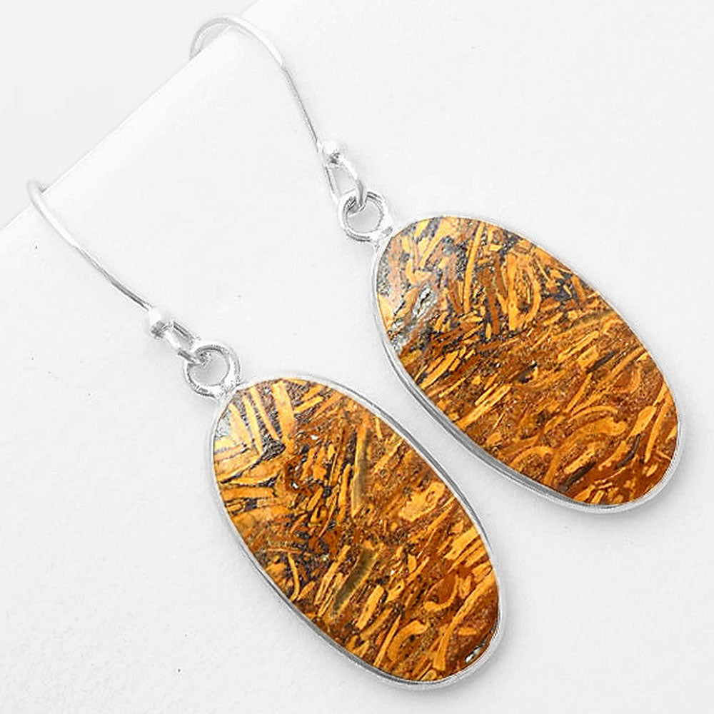 Natural Coquina Fossil Jasper India Earrings E-1001 SDE57428