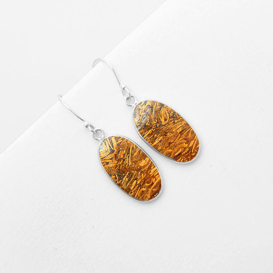 Natural Coquina Fossil Jasper India Earrings E-1001 SDE57428
