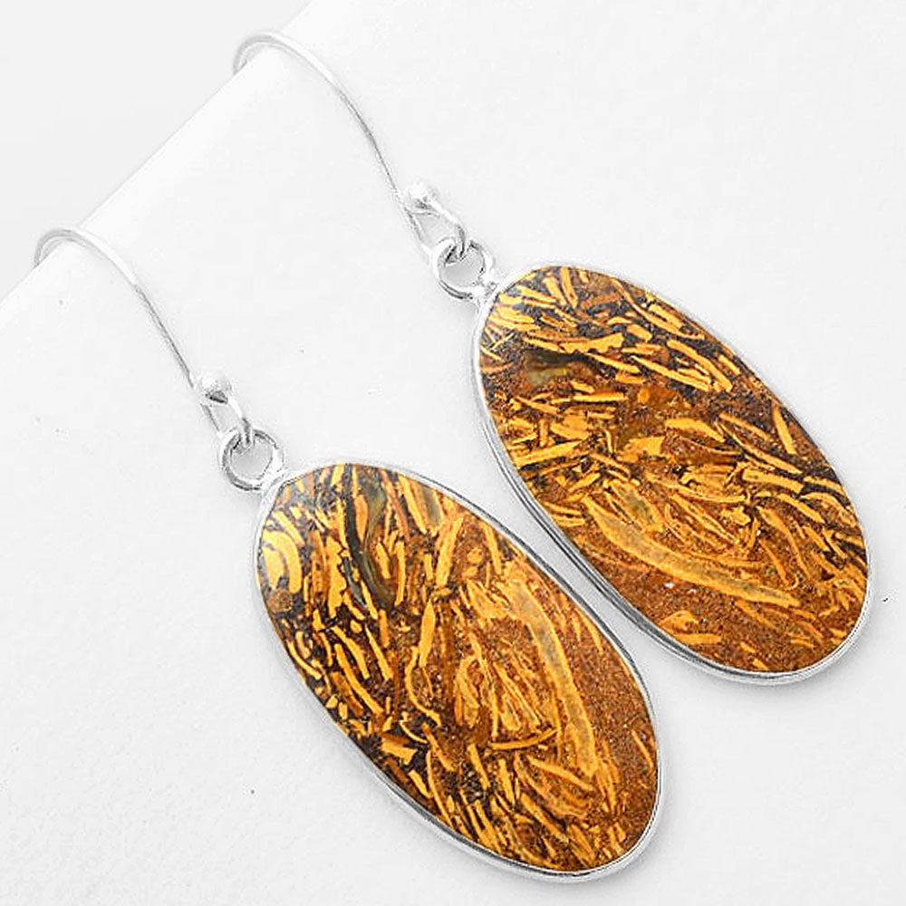 Natural Coquina Fossil Jasper India Earrings E-1001 SDE57436