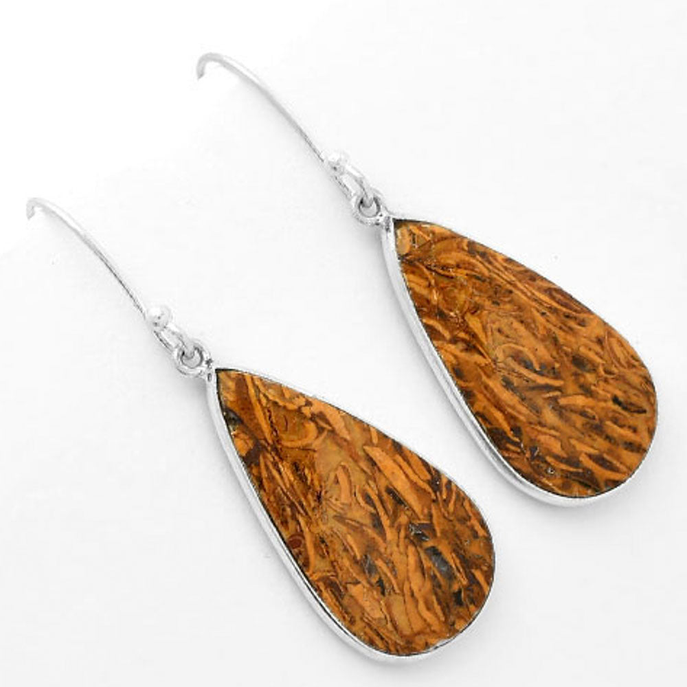 Natural Coquina Fossil Jasper India Earrings E-1001 SDE62450