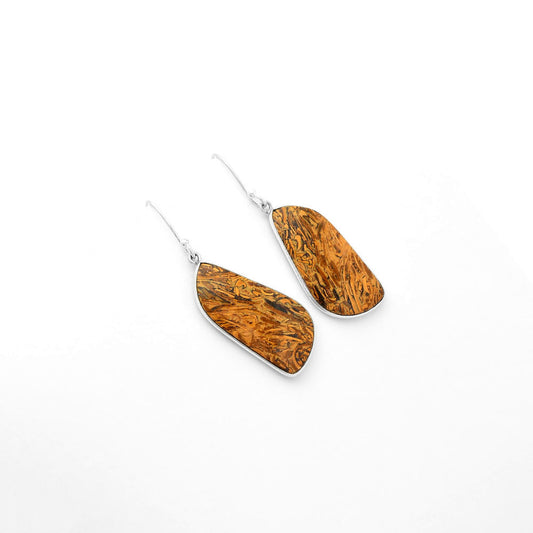 Natural Coquina Fossil Jasper India Earrings E-1001 SDE62451