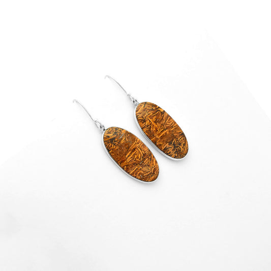 Natural Coquina Fossil Jasper India Earrings E-1001 SDE62456