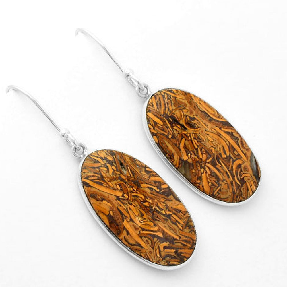 Natural Coquina Fossil Jasper India Earrings E-1001 SDE62457
