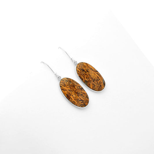 Natural Coquina Fossil Jasper India Earrings E-1001 SDE62457