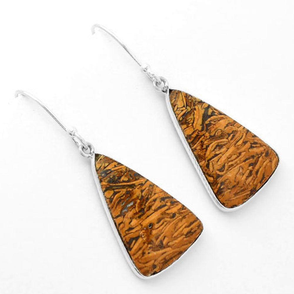 Natural Coquina Fossil Jasper India Earrings E-1001 SDE62462