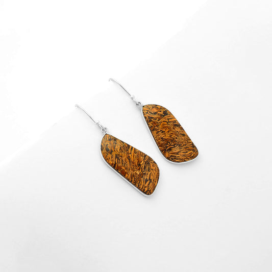 Natural Coquina Fossil Jasper India Earrings E-1001 SDE62467