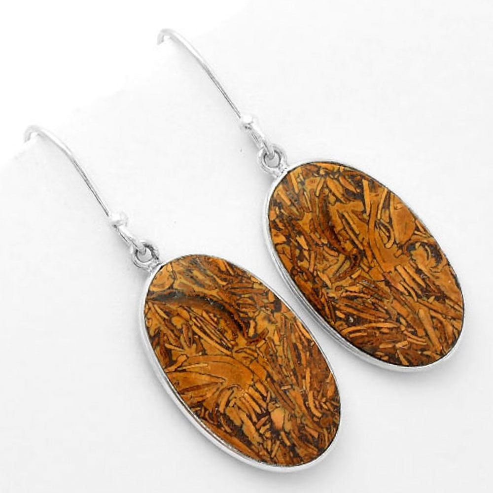 Natural Coquina Fossil Jasper India Earrings E-1001 SDE62472