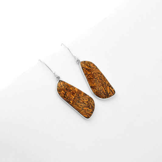 Natural Coquina Fossil Jasper India Earrings E-1001 SDE62473