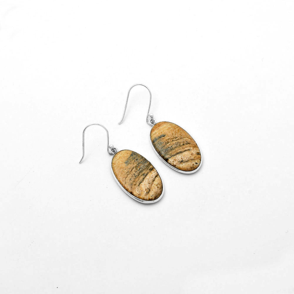 Natural Picture Jasper Earrings E-1001 SDE64591