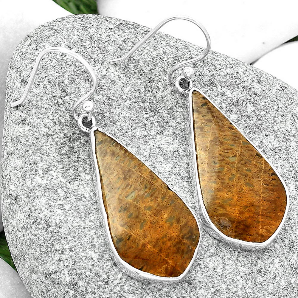 Natural Palm Root Fossil Agate Earrings E-1001 SDE68755