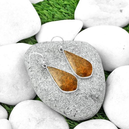 Natural Palm Root Fossil Agate Earrings E-1001 SDE68755