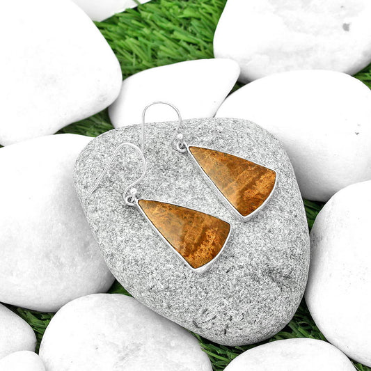 Natural Palm Root Fossil Agate Earrings E-1001 SDE68785