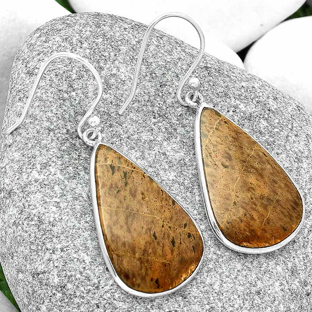 Natural Palm Root Fossil Agate Earrings E-1001 SDE69030