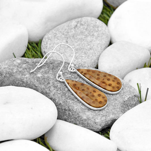 Natural Palm Root Fossil Agate Earrings E-1001 SDE69904