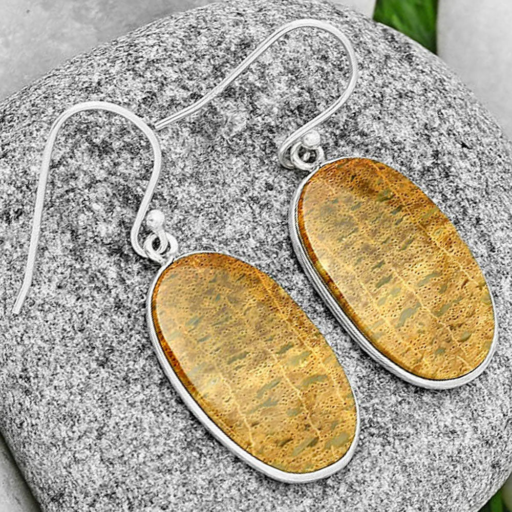 Natural Palm Root Fossil Agate Earrings E-1001 SDE72279