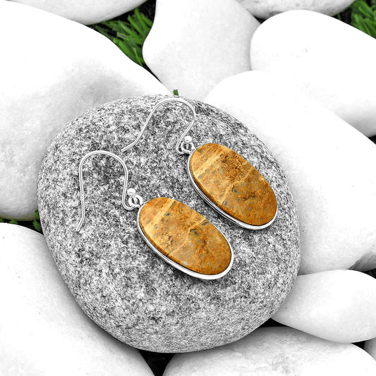 Natural Palm Root Fossil Agate Earrings E-1001 SDE74819