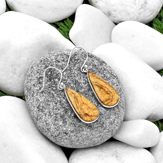 Natural Picture Jasper Earrings E-1001 SDE74830