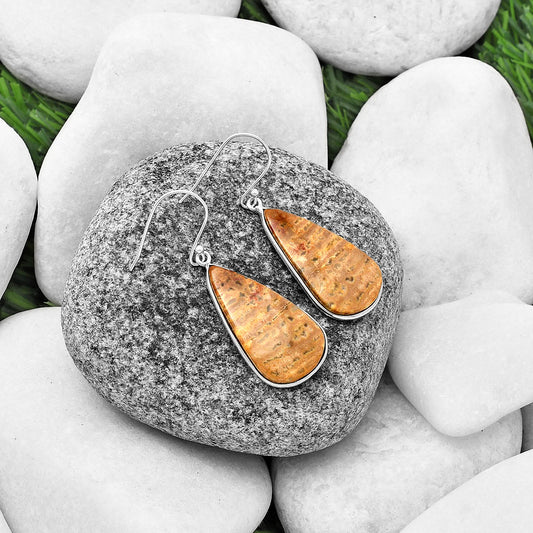 Natural Palm Root Fossil Agate Earrings E-1001 SDE75833