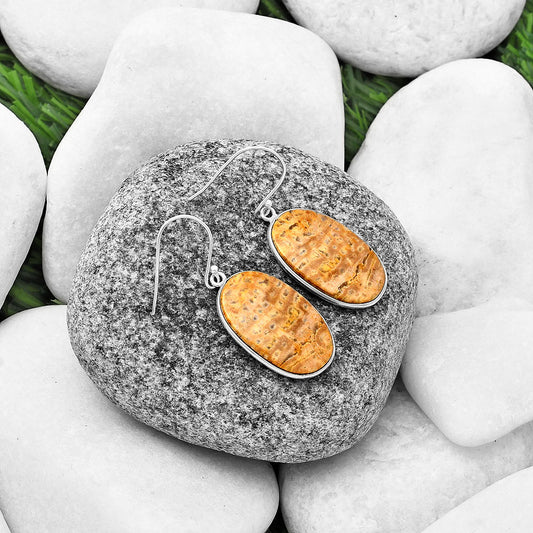 Natural Palm Root Fossil Agate Earrings E-1001 SDE75834