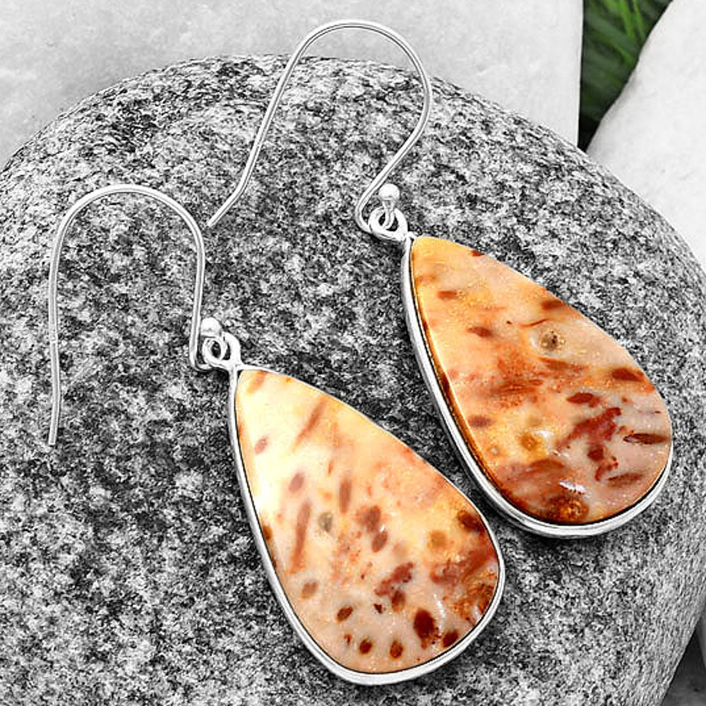 Natural Palm Root Fossil Agate Earrings E-1001 SDE75837